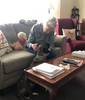 Senior resident interacting with a dog in the living room