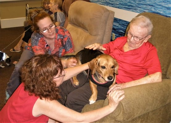 Residents enjoying time with a therapy dog