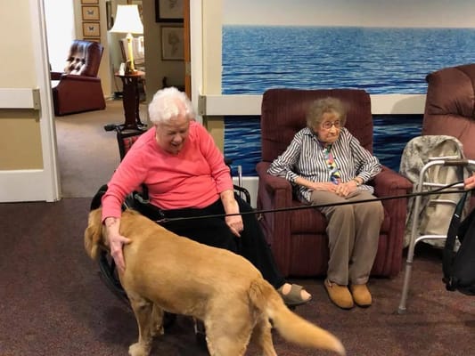 Residents interacting with a dog in a common area