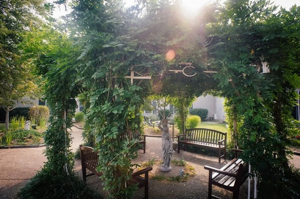 Outdoor seating area surrounded by greenery