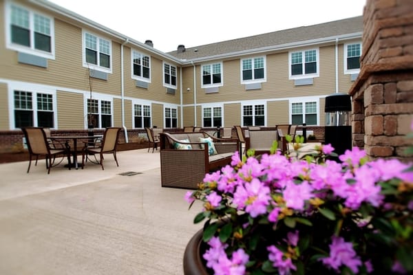 Outdoor seating area with flowers in bloom