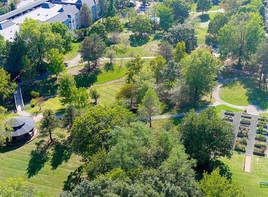 Aerial view of a landscaped outdoor area with walking paths