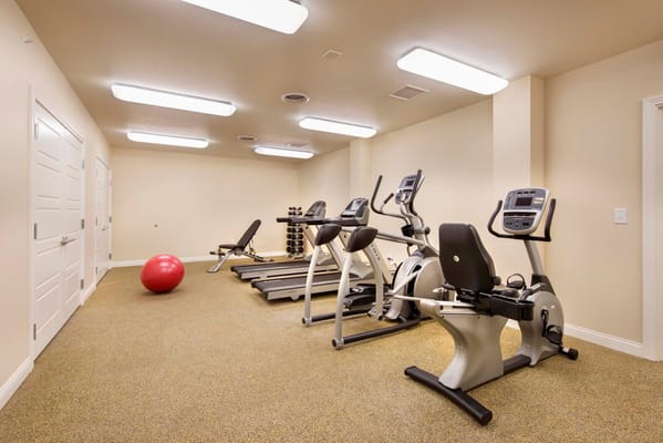 Fitness equipment in a well-lit exercise room