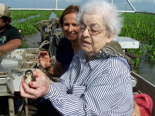 Elderly woman holding a duckling with a staff member