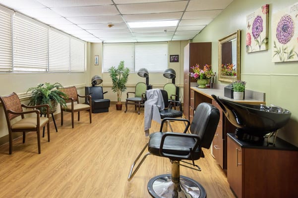 Brightly lit salon area with styling chairs and plants