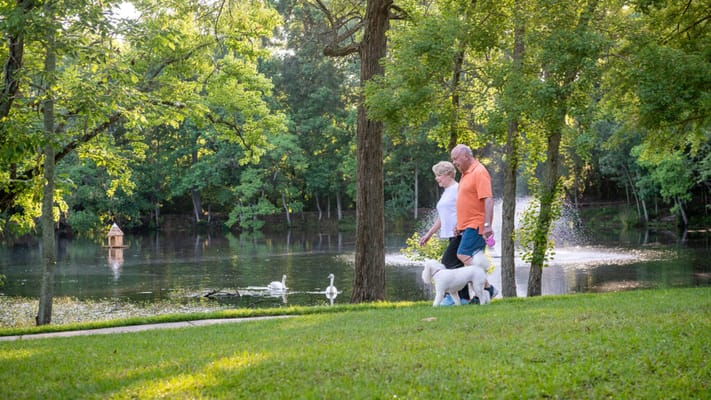 Couple walking by a serene pond in a park