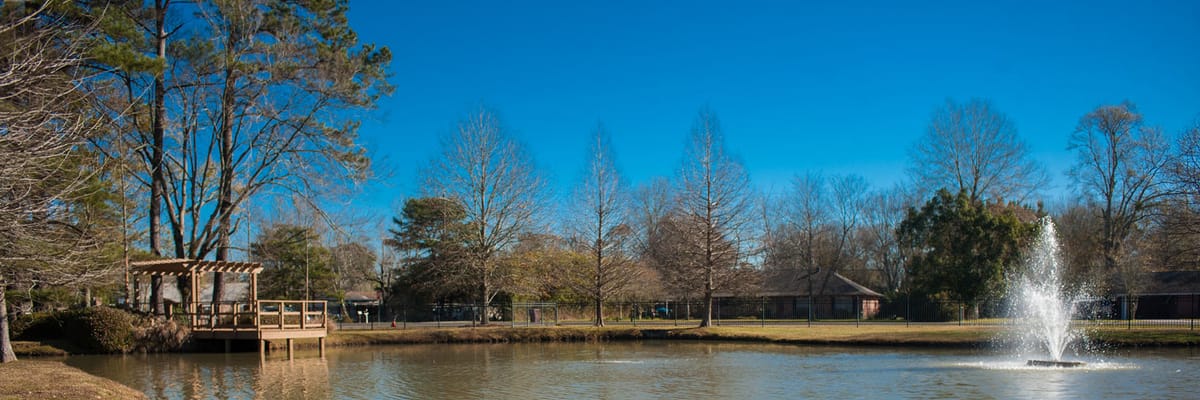 Scenic view of a peaceful pond with a gazebo