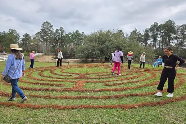 Residents participating in a labyrinth walking activity outdoors