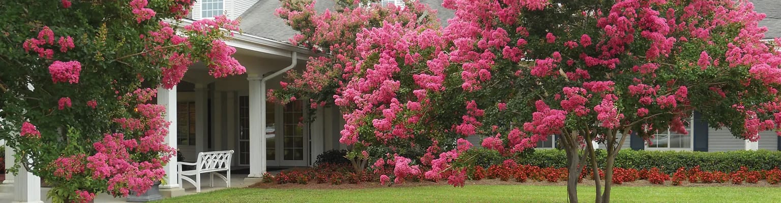 Exterior view of Christwood with blooming flowers
