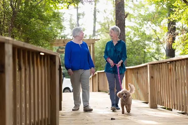 Two residents walking a dog on a wooden path