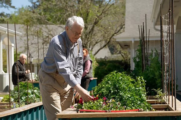 Resident gardening in a sunny outdoor area