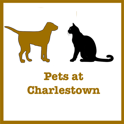 Charlestown Community