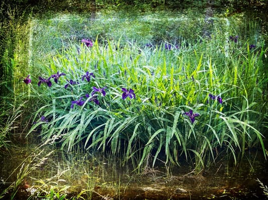 Charlestown Community