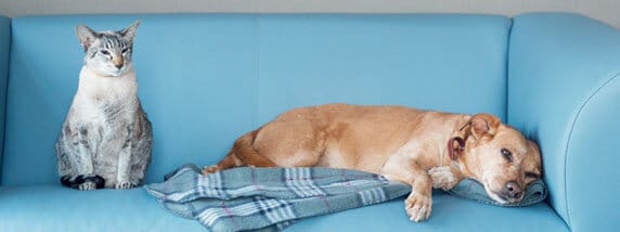 Freese’s Assisted Living Program