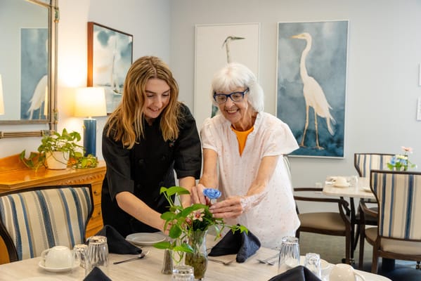 Commonwealth at Salisbury