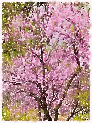 Charlestown Community