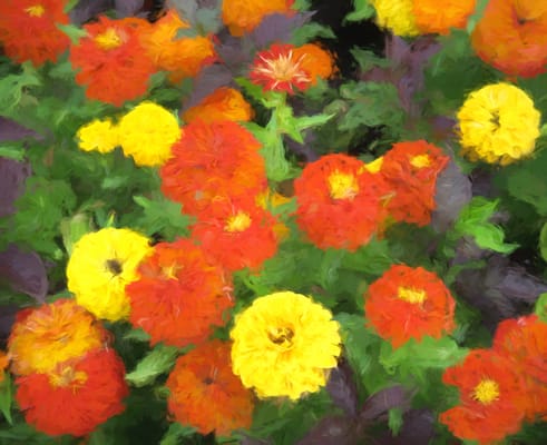 Charlestown Community