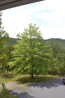 Charlestown Community