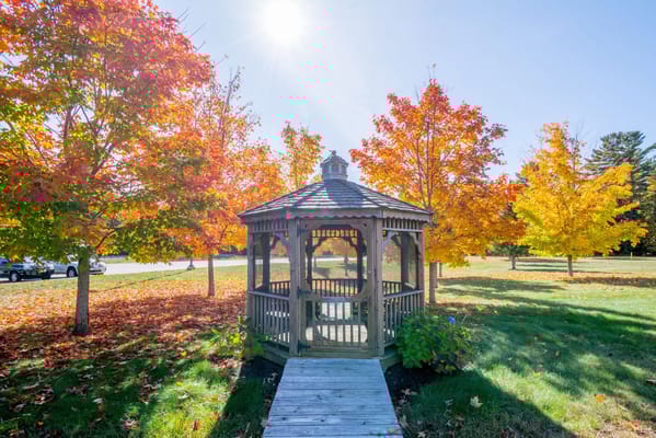 Gazebo surrounded by colorful trees in autumn