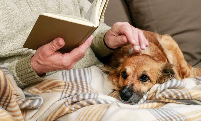 An elderly person reading a book with a dog on their lap