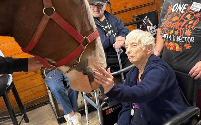 Resident interacting with a therapy horse indoors