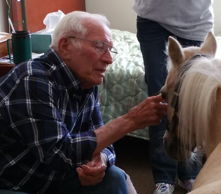 Resident interacting with a small horse indoors