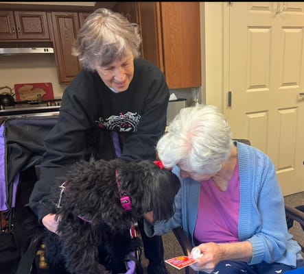 Residents interacting with a therapy dog in a common area
