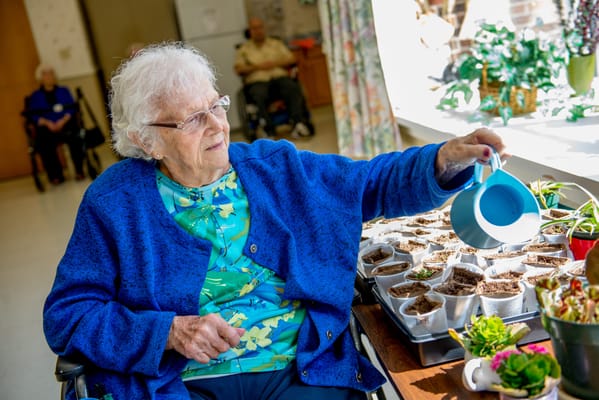 A resident watering plants during an indoor activity
