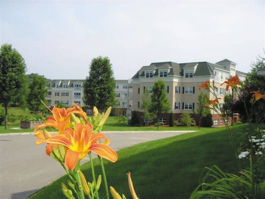 Flowering plants in front of the building exterior