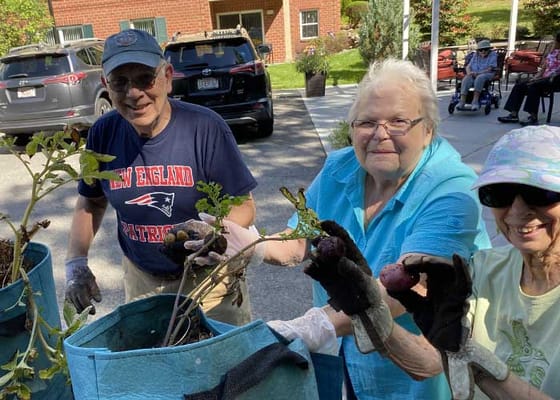 Residents gardening and harvesting vegetables outdoors