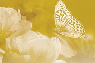 Crest View Senior Community At