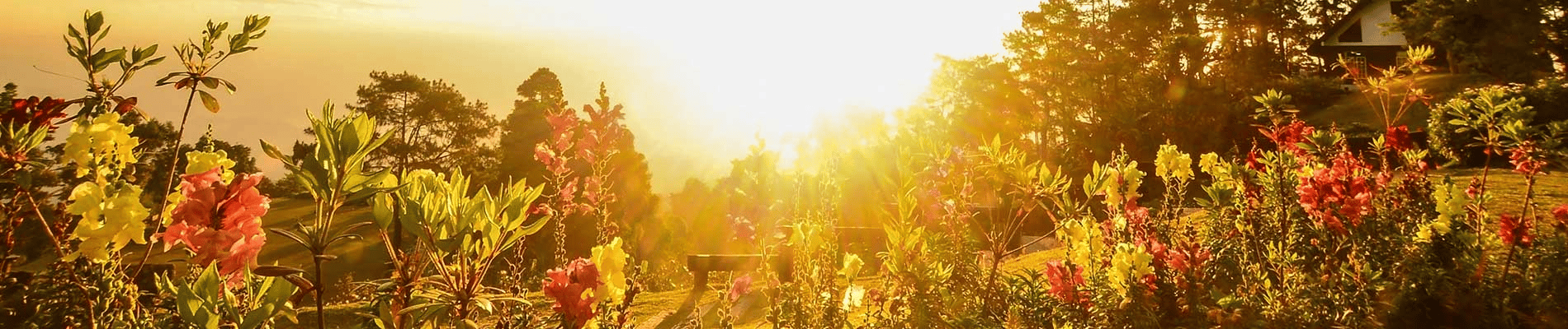 Crest View Senior Community At