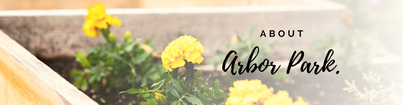 Arbor Park Living Center LLC