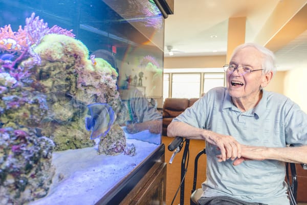 Elderly man enjoying an aquarium in a common area