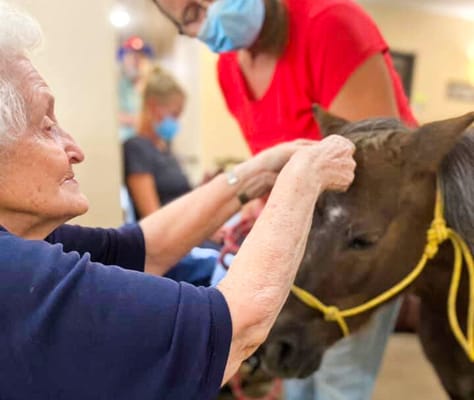 Resident interacting with a miniature horse indoors