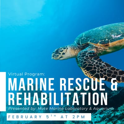 Valora Sr. Lvg Of St. Anthony