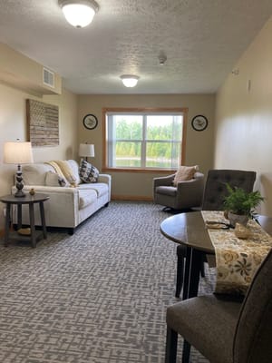 Cozy living area in a senior living room