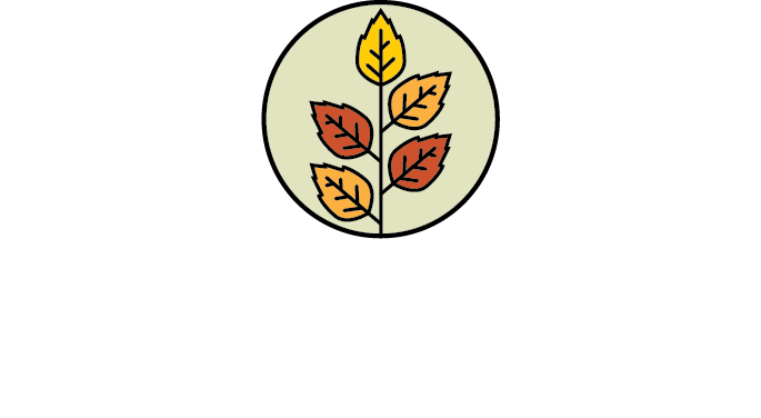 Elmhurst Commons Apartments