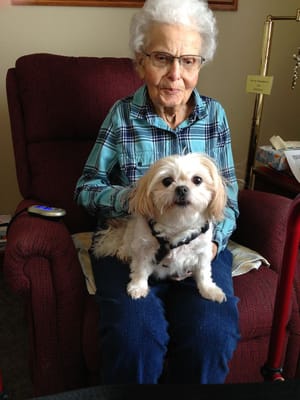 An elderly woman with a small dog sitting on a chair