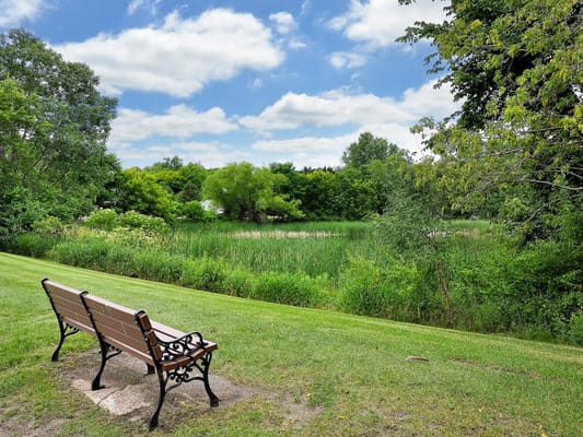 Scenic view of a tranquil pond with a bench
