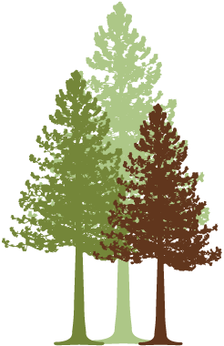 Gable Pines At Vadnais Heights