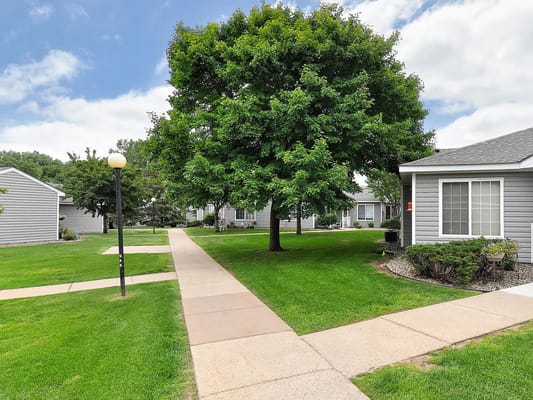 Pathway through green outdoor space with cottages