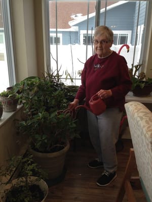 Resident watering plants in a sunny indoor setting