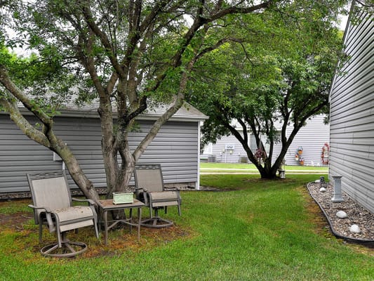 Seating area under trees in a garden