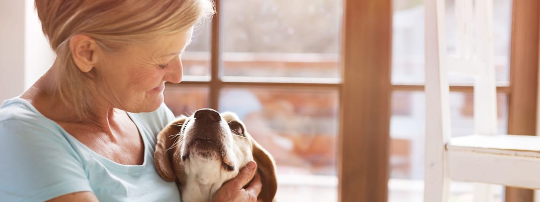 The Sanctuary At Brooklyn Cent