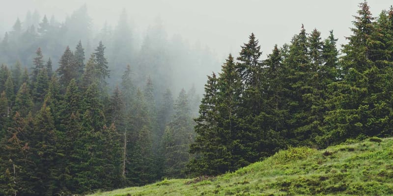 Oak Meadows Senior Living