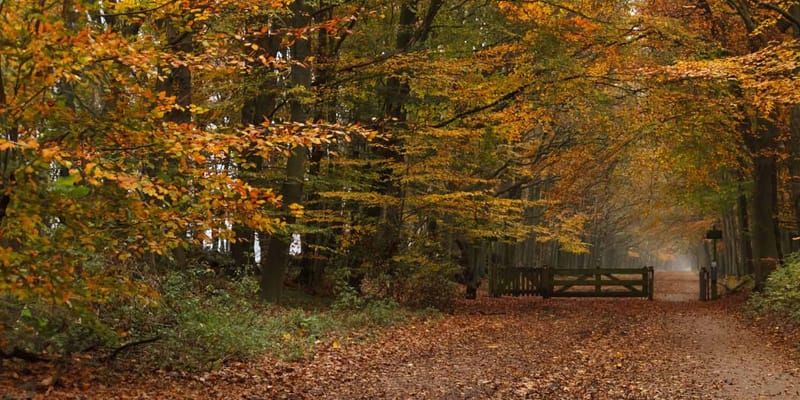 Oak Meadows Senior Living