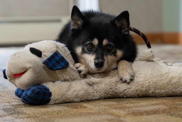 Oak Meadows Senior Living