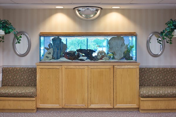 Interior photo of a waiting area with an aquarium