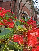 Rockhill Manor Assisted Living